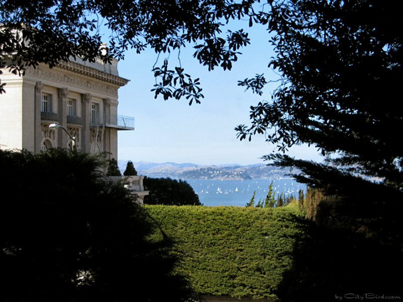 San Francisco Bay from Pacific Heights