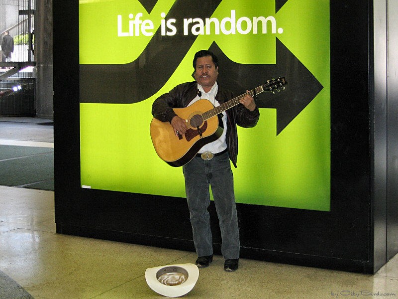 Folk Singer at Powell Station, San Francisco