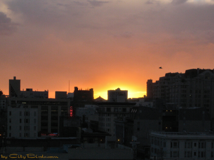 San Francisco Indian Summer Sunset.