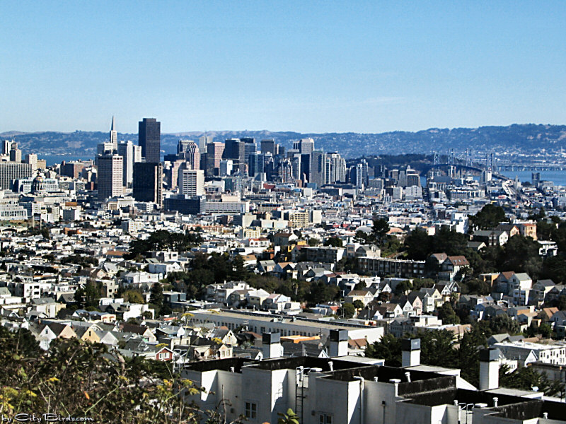 Skyline of San Francisco from Upper Market