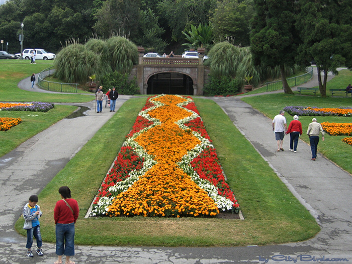 Golden Gate Park Conservatory of Flowers, San Francisco.