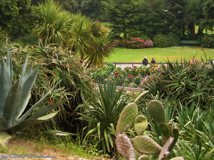 Golden Gate Park Conservatory of Flowers, San Francisco.